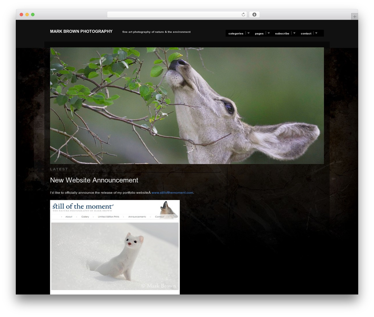 Modularity Lite WordPress gallery theme - markbrownphoto.com Modularity Lite WordPress gallery theme - markbrownphoto.com