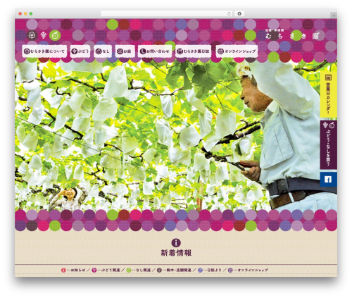 Pinboard WordPress theme - murasakien.com