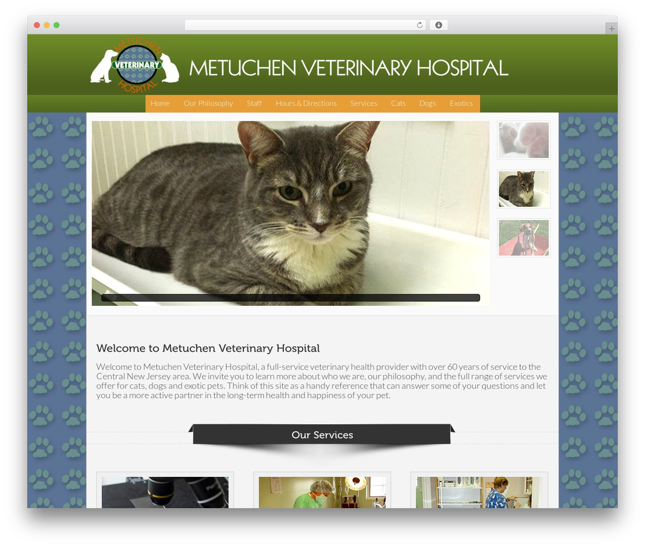Slice Pro Responsive Theme WordPress theme design - metuchenvet.com