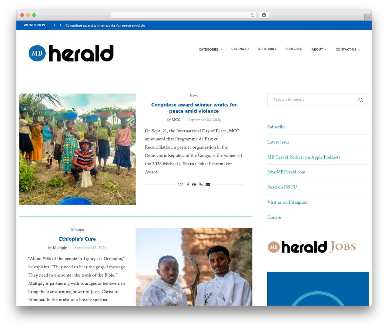 soledad WP theme - mbherald.com