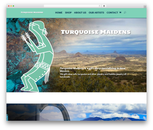 Theme WordPress Divi - turquoisemaidens.com