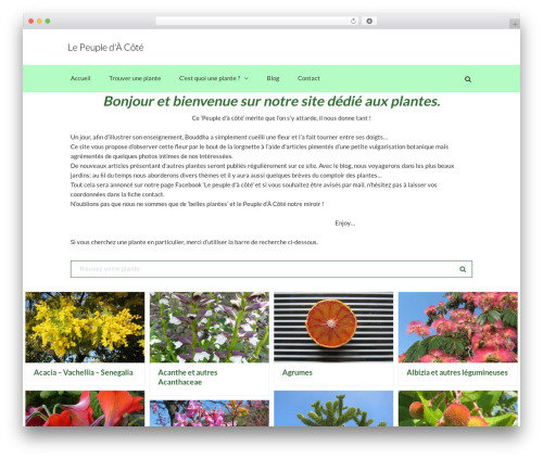 Secupress pro WordPress plugin - lepeupledacote.com