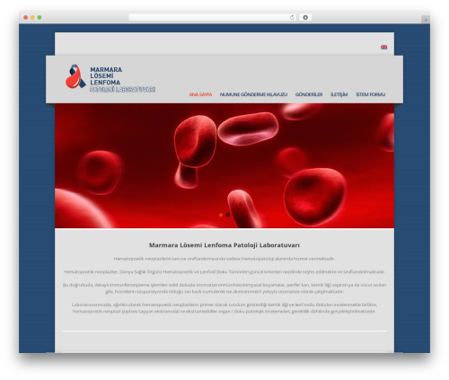 Corpo_toolkit WordPress plugin - mllpat.com