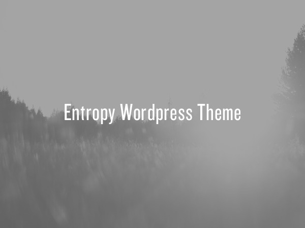 WordPress theme Entropy by Timothy Long