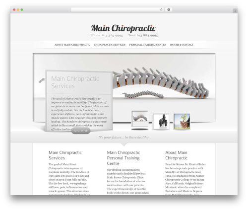Send link to friend (send-link-to-friend) free WordPress plugin - mainchiropractic.ca