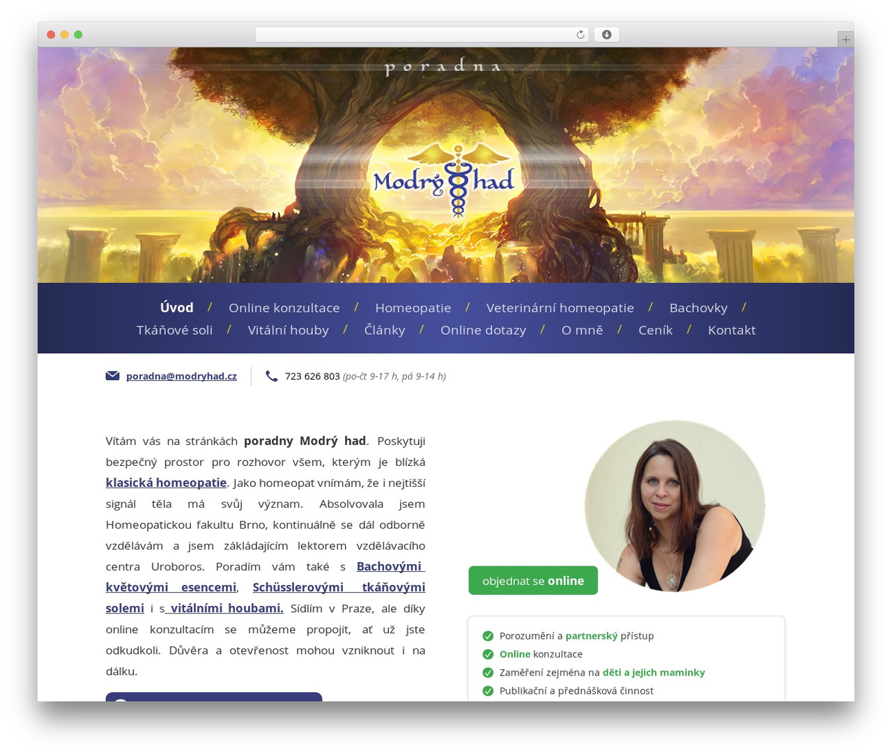 WordPress website theme Modrý Had - modryhad.cz WordPress website theme Modrý Had - modryhad.cz