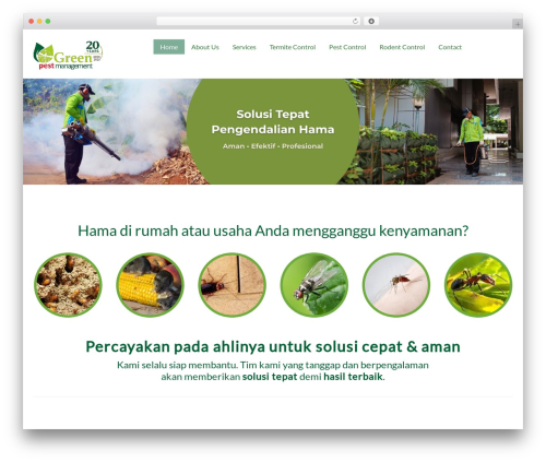 Zero WordPress theme - mygreenpest.com