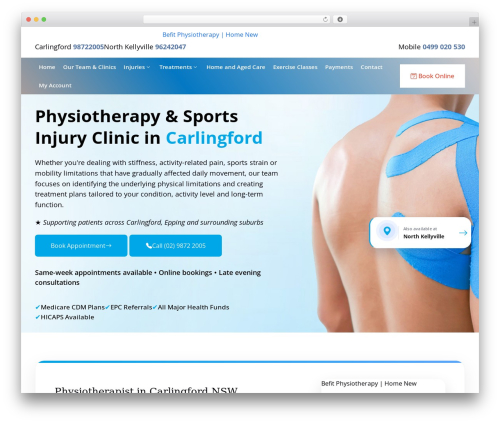 Alt manager WordPress plugin - befitphysio.com.au