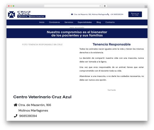 Conult themer WordPress plugin - cruzazulclinicaveterinaria.com
