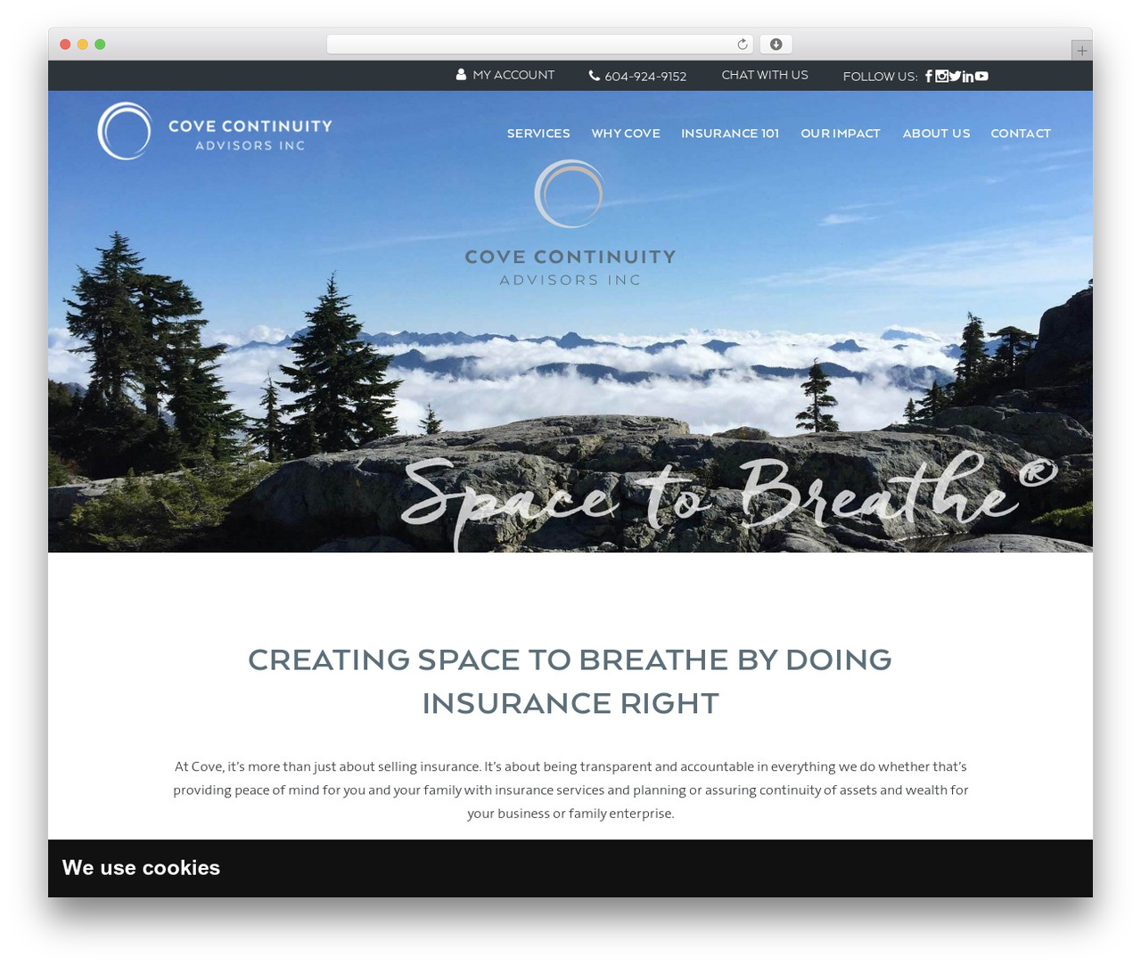 Ecologist Child WordPress theme - coveadvisors.com