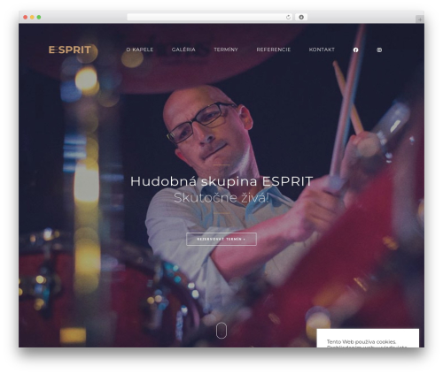 Iron music WordPress plugin - esprit.sk