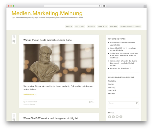 WordPress theme Bugis - medien-marketing-meinung.de