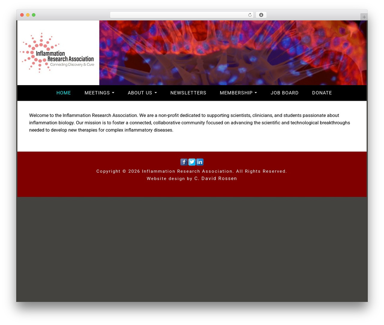 WordPress theme Dara Child - inflammationresearch.org WordPress theme Dara Child - inflammationresearch.org