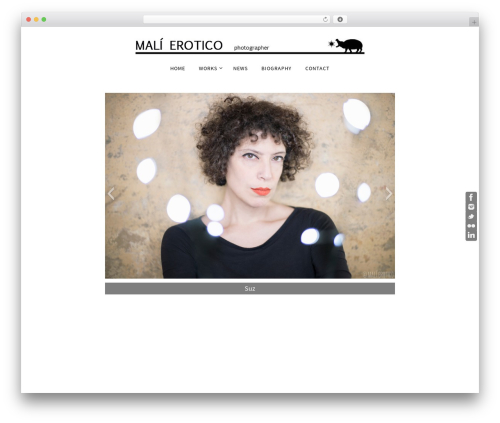 Grid gallery ready WordPress plugin - malierotico.com