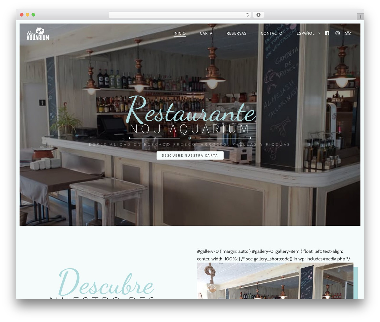 WordPress theme Rosa - nouaquarium.com WordPress theme Rosa - nouaquarium.com