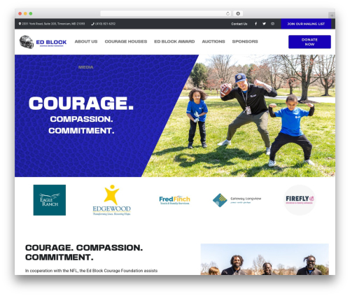 WP theme EZY Theme - edblock.org