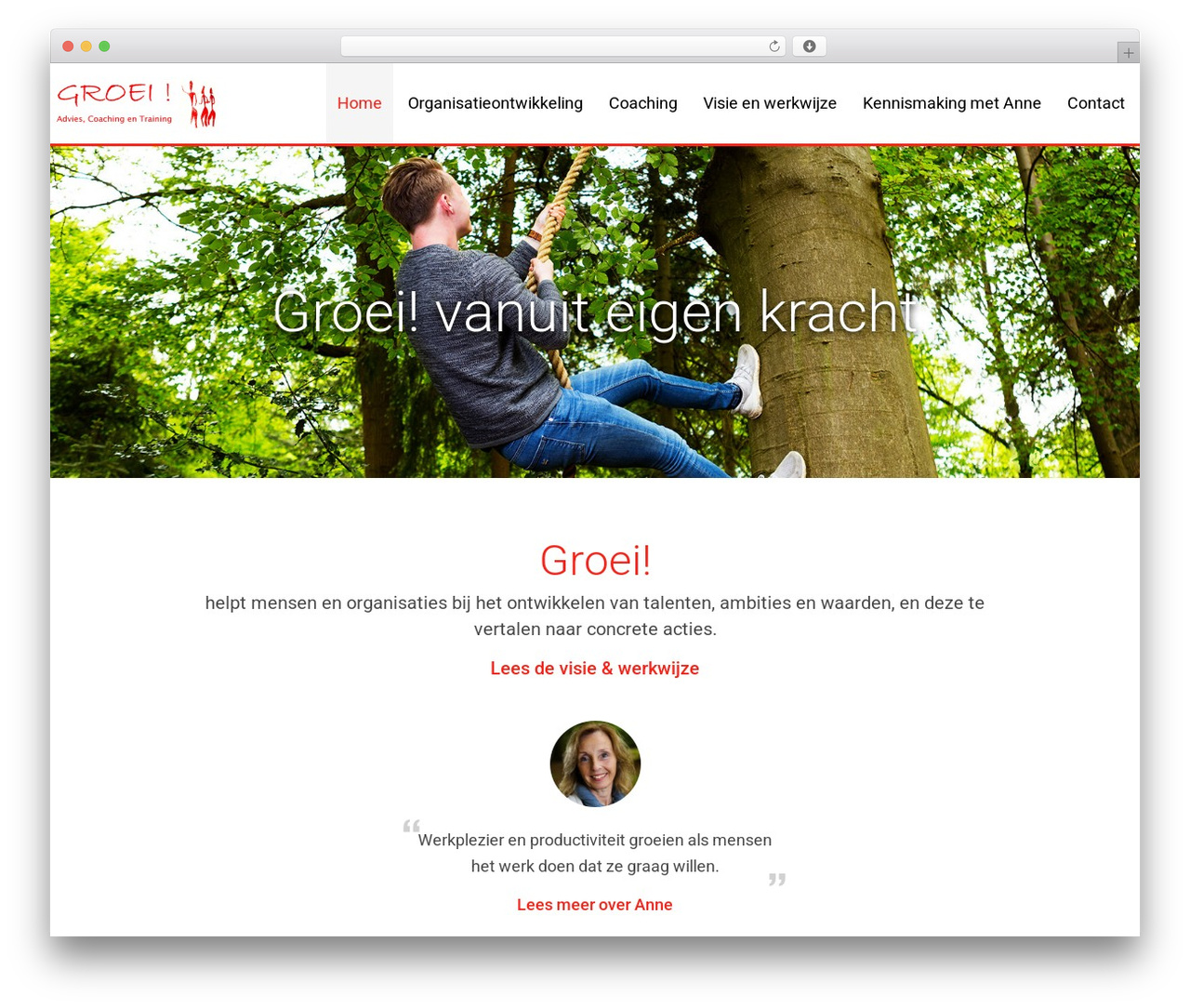 Groei! WordPress theme - groeiconsult.eu