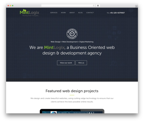 Mintlogix WordPress theme - mintlogix.com