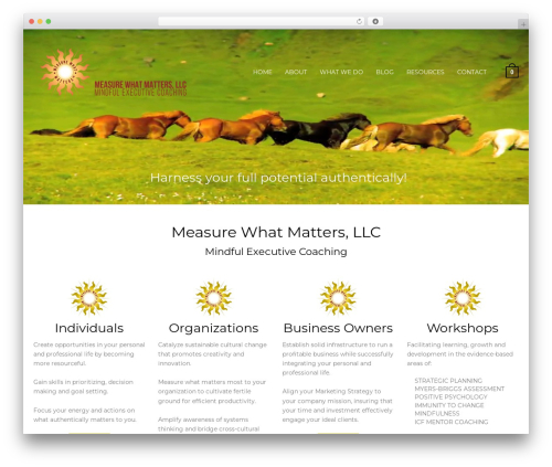 New Project best WordPress theme - measure-what-matters.com