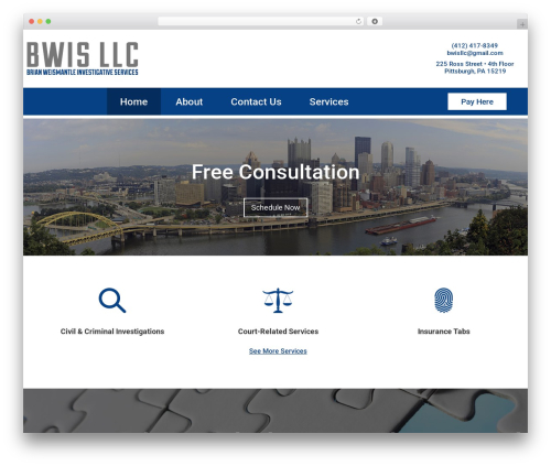 ProFromGo WordPress theme - bwinvestigates.com