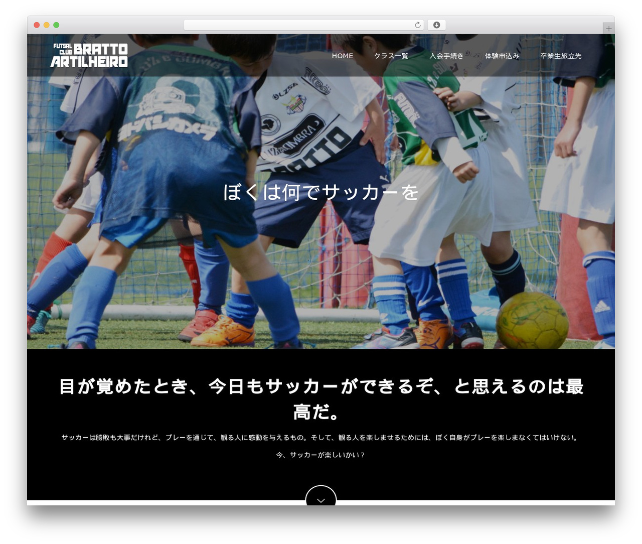 Switch theme WordPress - brt-art.com