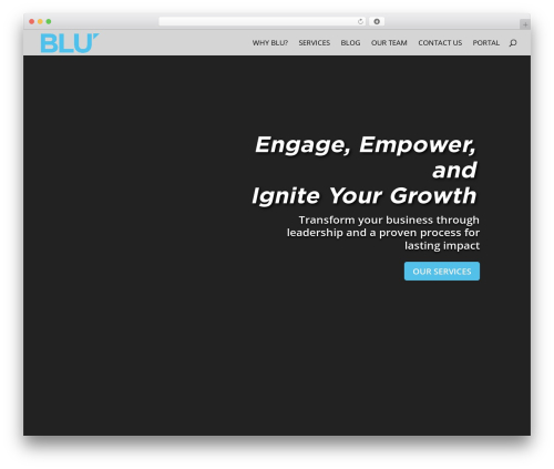 WordPress theme BLU Custom Theme - bluleadership.com