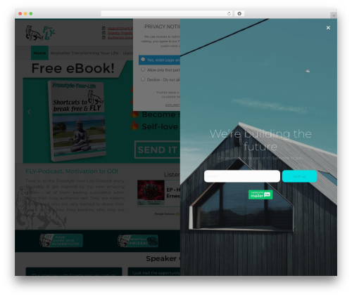Amazorize WP theme - freestyle-your-life.com