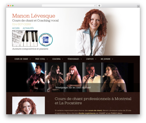WPaudio MP3 Player (wpaudio-mp3-player) free WordPress plugin - manonlevesque.com WPaudio MP3 Player (wpaudio-mp3-player) free WordPress plugin - manonlevesque.com