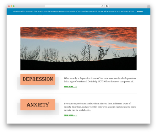 Wp hummingbird WordPress plugin - overcoming-depression.org