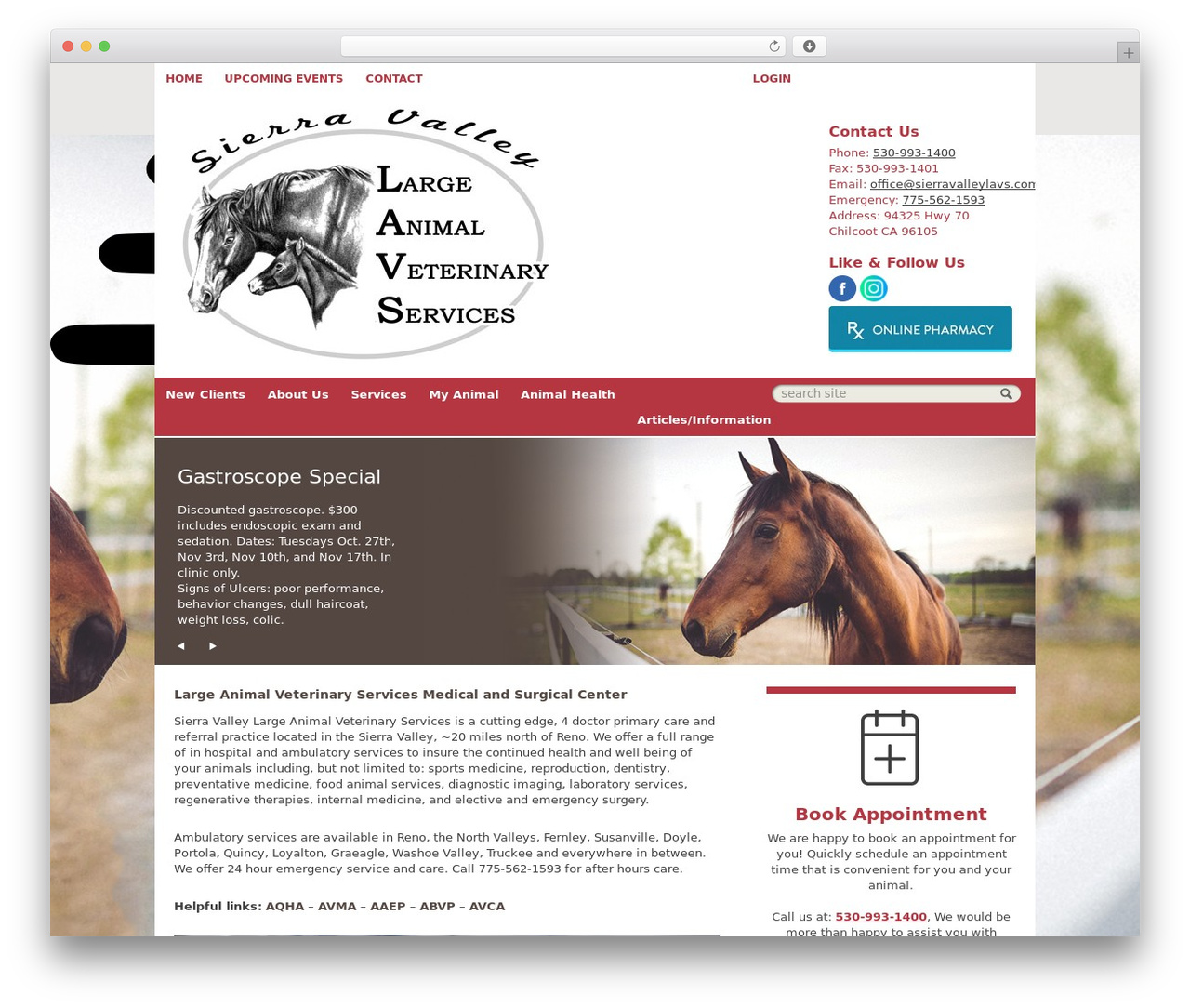 Theme WordPress Lifelearn (Theme 1) - sierravalleylavs.com