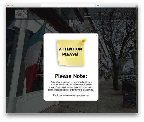 Elfsight popup cc WordPress plugin - boguesalley.com