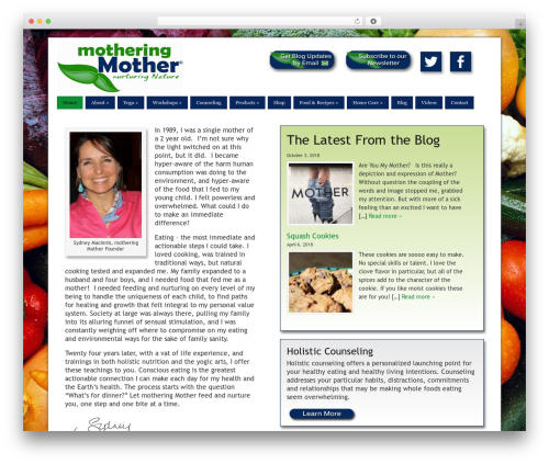 Catalyst WordPress theme - motheringmother.com