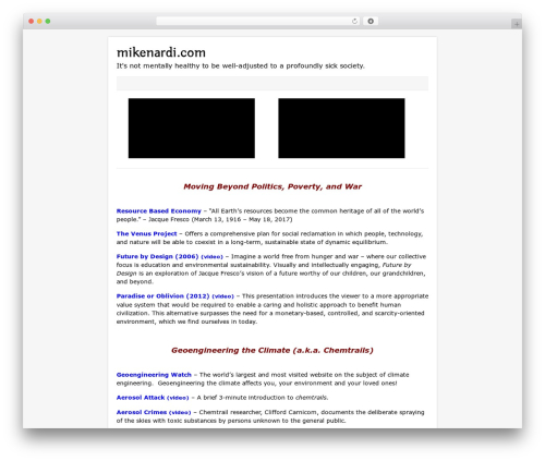 Catalyst WordPress theme - mikenardi.com