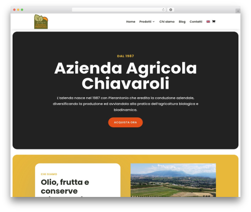 Divi theme WordPress - chiavarolibio.com