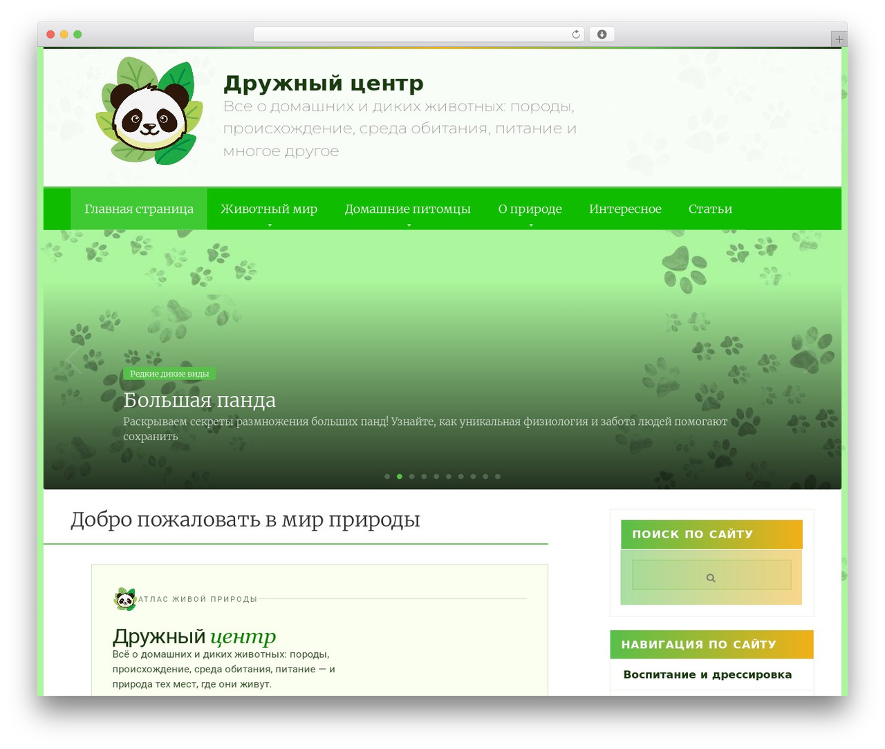 Root WordPress website theme - druzhniy-center.ru
