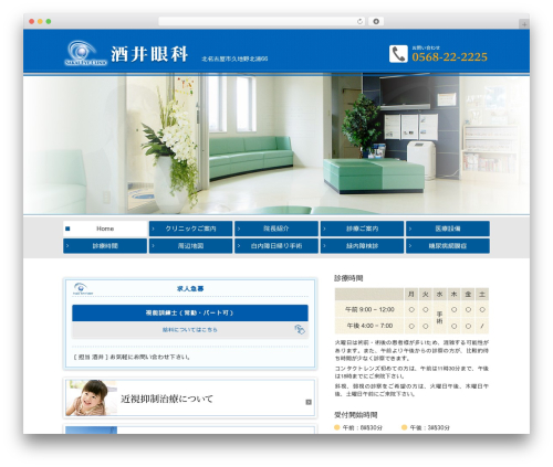 Ns theme WordPress plugin - sakaiganka.com
