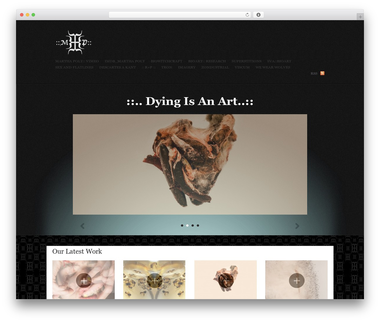 Theme WordPress Olya - marthapoly.com