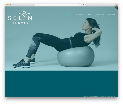 Quickcreator WordPress plugin - selyn.ee