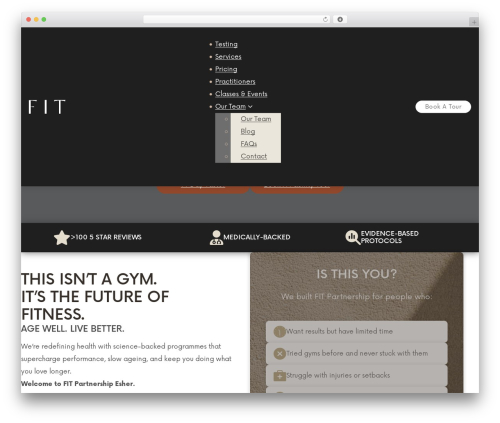 Bricks gym WordPress theme - thefitpartnership.co.uk