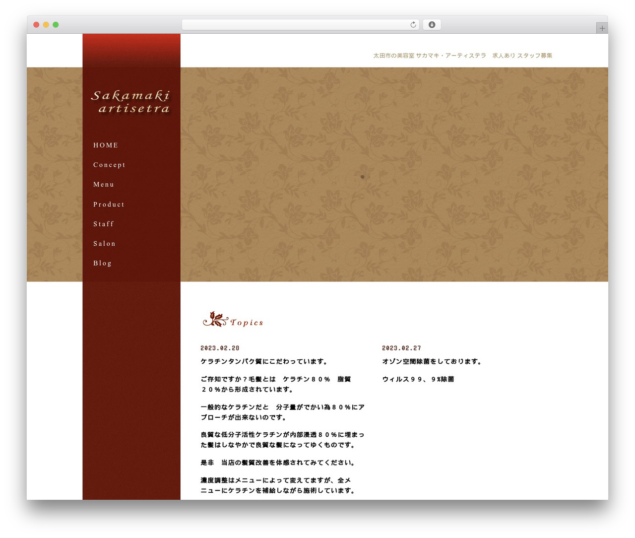 WordPress theme ManaSys - sakamakiartisetra.com