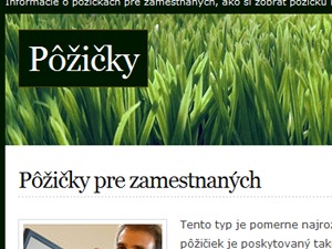 Minisite WordPress theme by Vladimir Rejholec