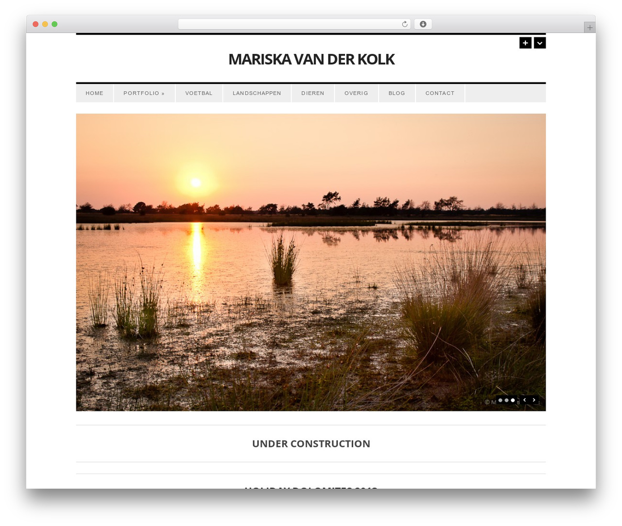 Surplus WordPress theme - mariskavanderkolk.nl