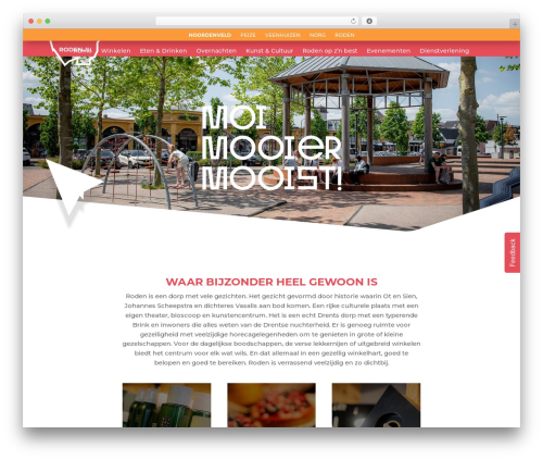 Wp hummingbird WordPress plugin - roden.nl