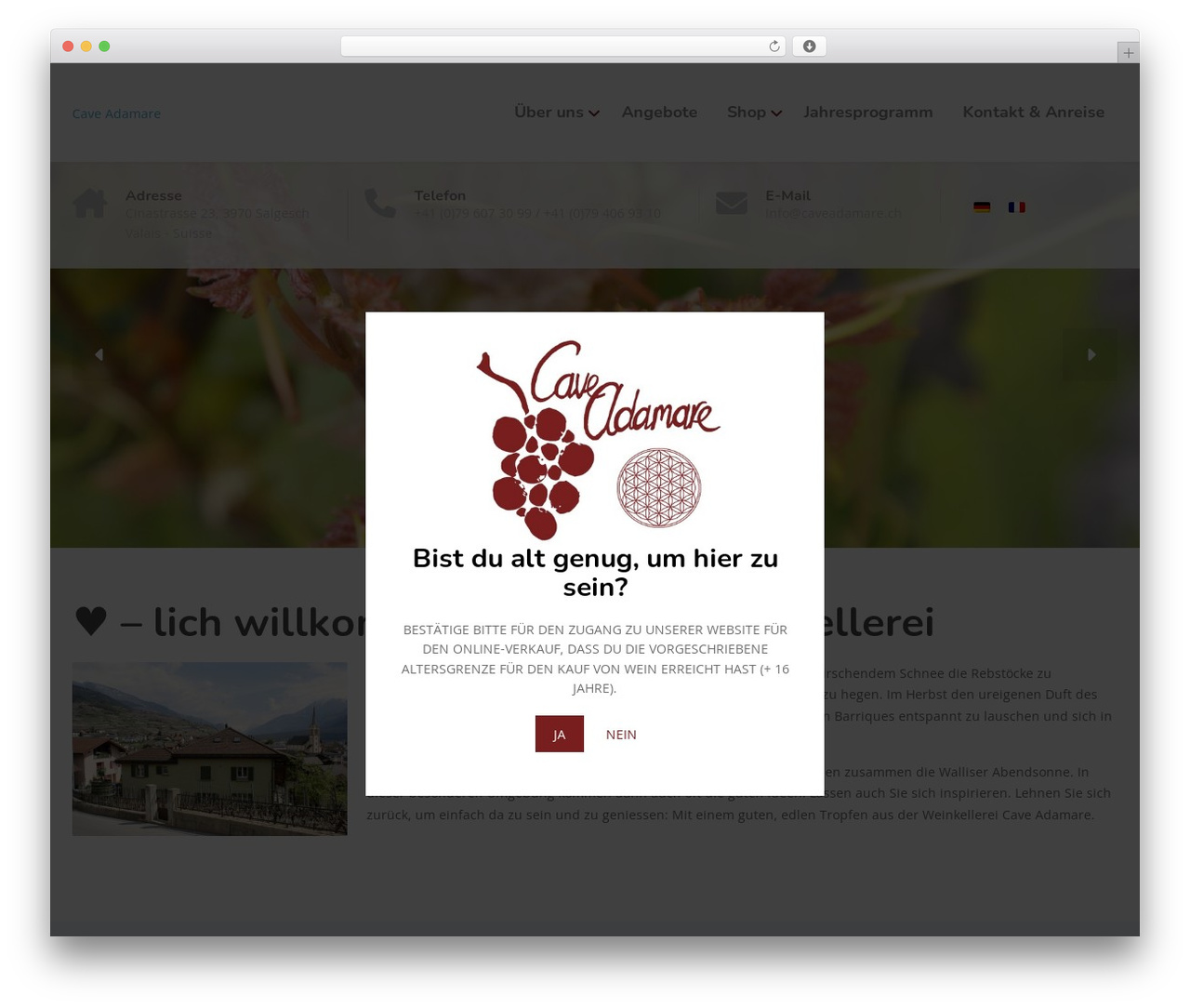 Physio-qt theme WordPress - caveadamare.ch Physio-qt theme WordPress - caveadamare.ch