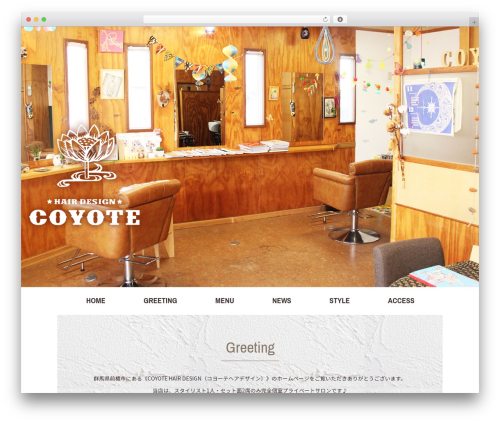 Themify Basic theme WordPress - coyote-hair-design.com