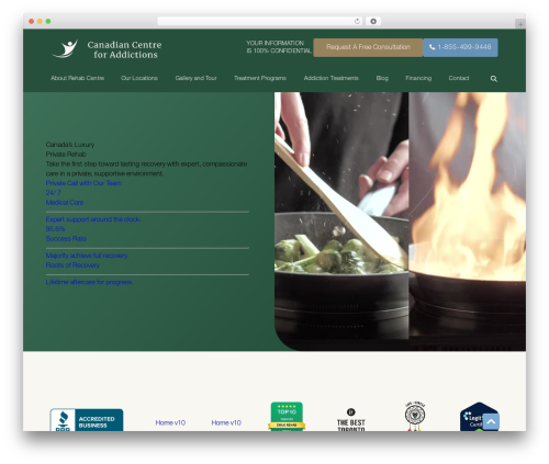 CCFA WordPress theme - canadiancentreforaddictions.org