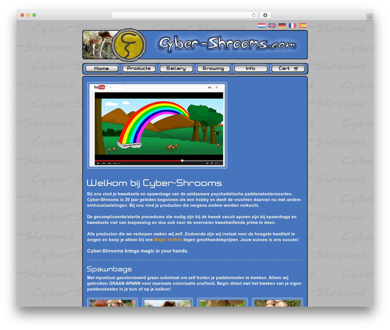 WordPress theme BK Theme - www.cyber-shrooms.com