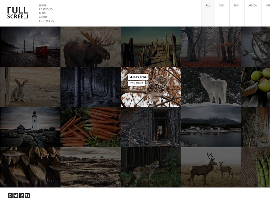 FULLSCREEN top WordPress theme by TommusRhodus