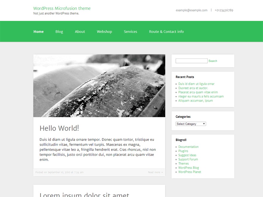 Microfusion WordPress theme by Design 311