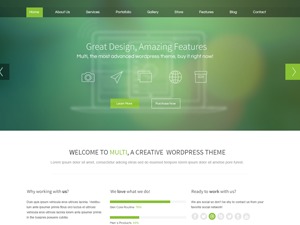 Multi WP WordPress theme by MC Studios
